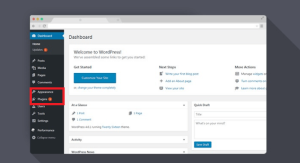 WordPress Installation